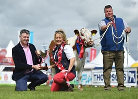 Junior Champion - Curraghnakeely Sylvia 0563 from N & M Moilies with Junioer championship sponsor Tommy Staunton of Pedigree sales.com